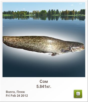 Влад Глушак | Харьков