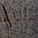 №58, Лёнка Милованова, Волгоград №58, Лёнка Милованова, Волгоград