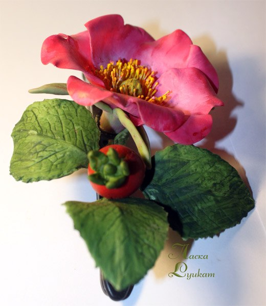 Юлия Смирнова | Люберцы