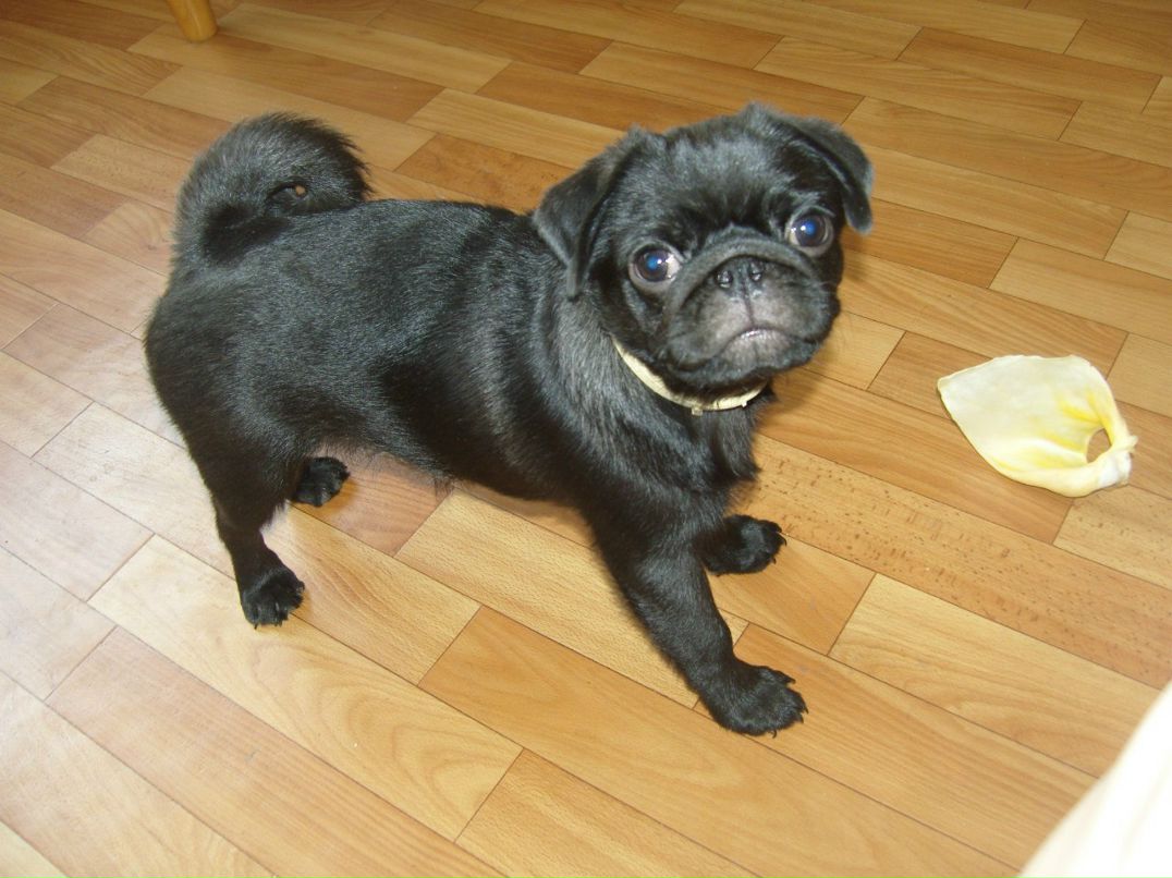 Мария Образцова | Тольятти