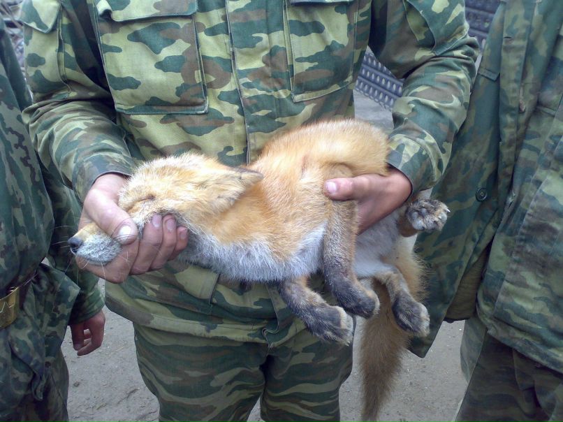 Egor Bereznikov | Нижний Новгород