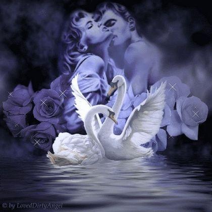 №15, Татьяна Старова, 38 лет, Ровеньки №15, Татьяна Старова, 38 лет, Ровеньки