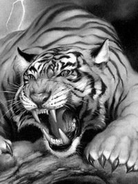 Дмитрий Гущин | Харьков