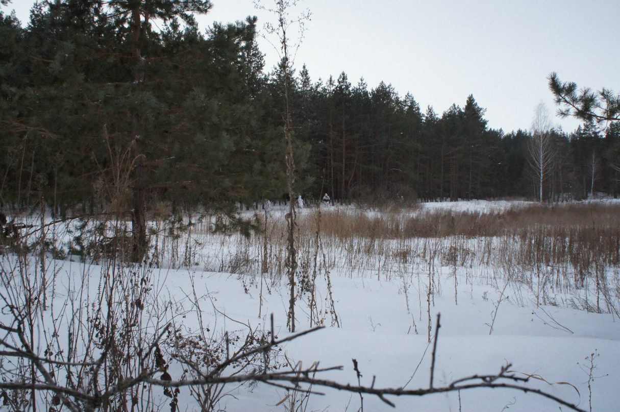 Дмитрий Горбунов | Самара