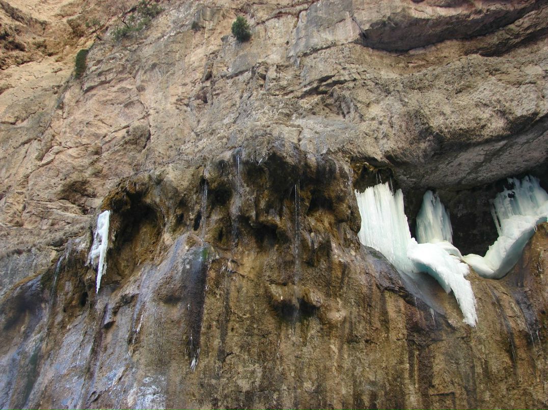 Ольга Фрей | Москва