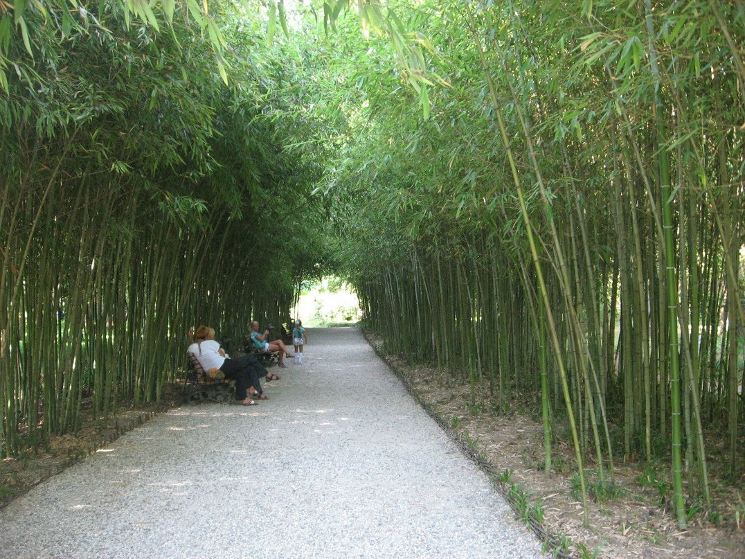 Марина Егорушкина | Орёл