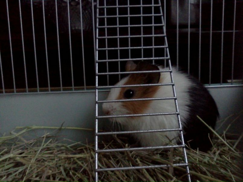 №83, Илья Алдунгаров-Хоменко, 36 лет, Омск №83, Илья Алдунгаров-Хоменко, 36 лет, Омск