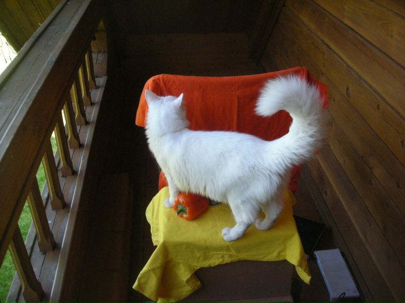 Женя Жукова | Москва