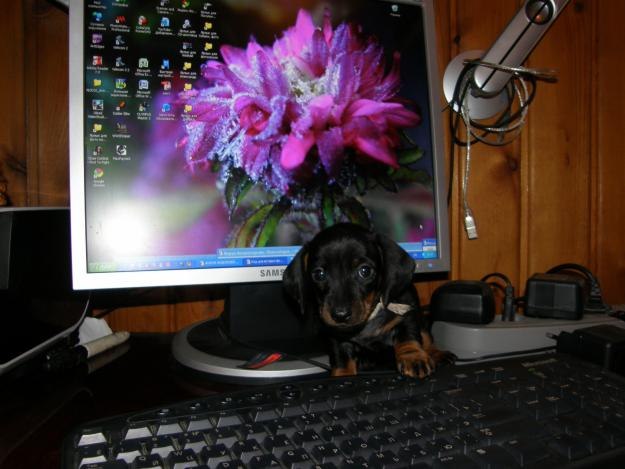 Миша Юсупов | Самара