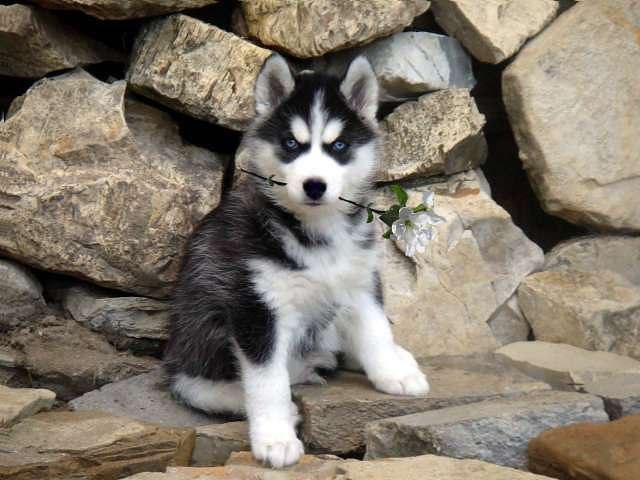 Ольга Иванчук | 