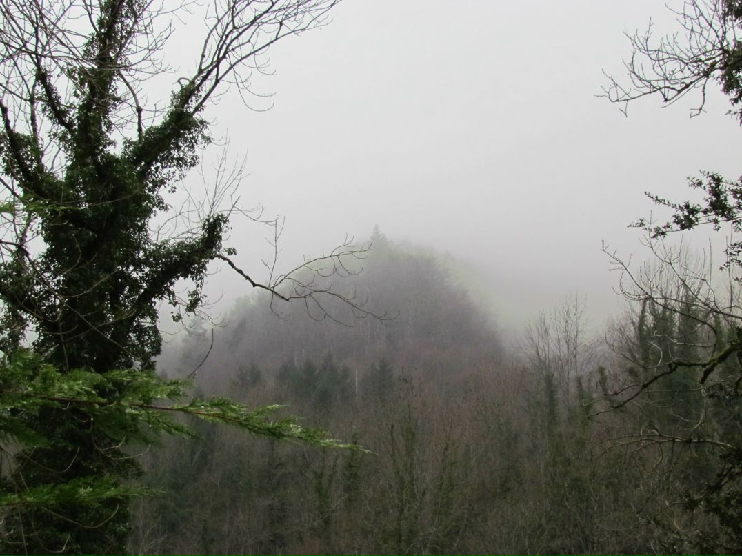 Вячеслав Патрин | Волгоград