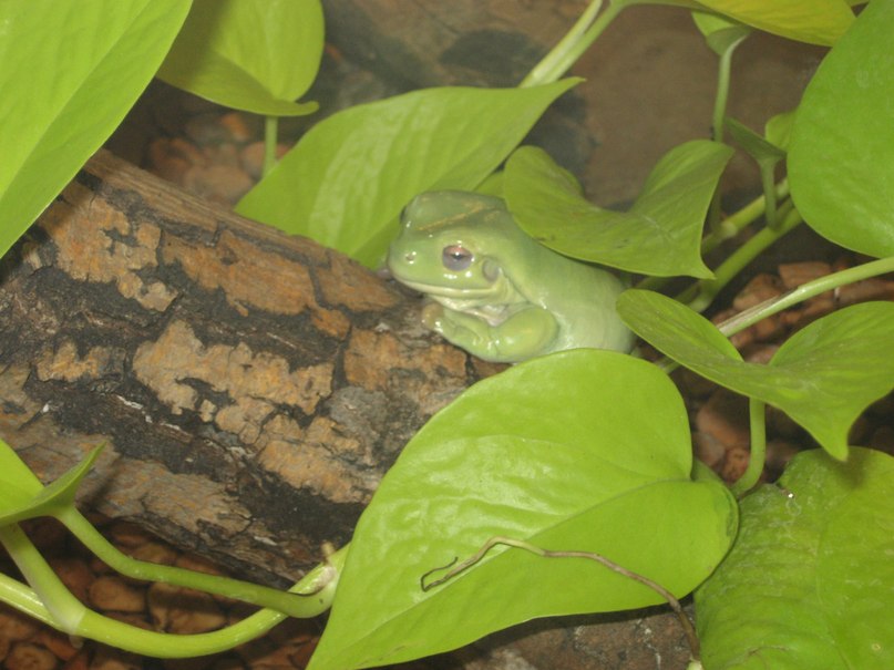 Наталья Синозацкая | Киев