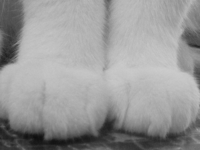 Ирина Лесник | Кишинев