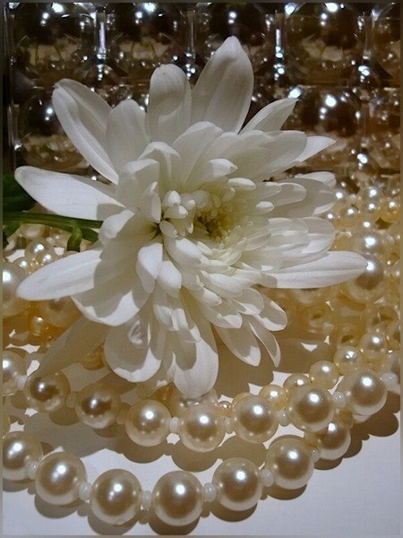 №59, Лилия Захарова, Москва №59, Лилия Захарова, Москва