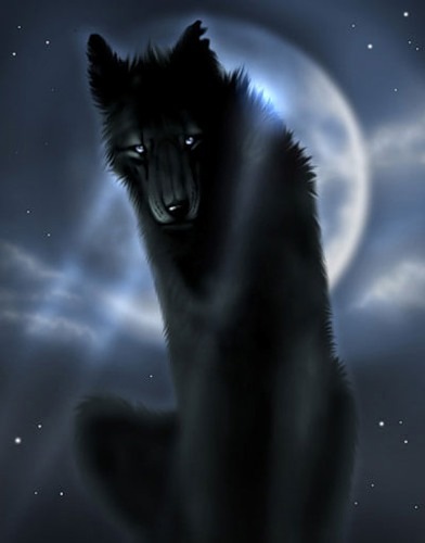 №9, Сергей Редька, 47 лет, Санкт-Петербург №9, Сергей Редька, 47 лет, Санкт-Петербург