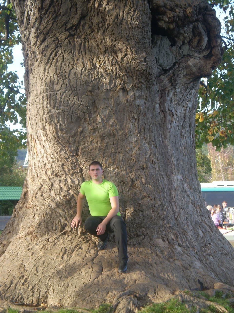 Александр Медведев | Полевской