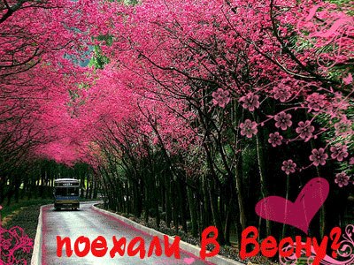 Ольга Тарасова -April- | 