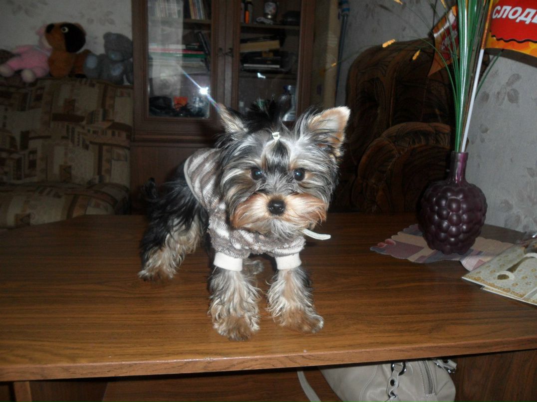 Танюша Загуста | Минск