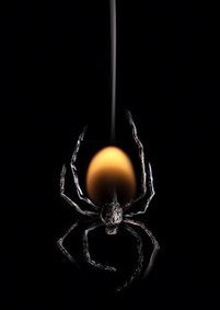 Серёга Ясаков | Липецк