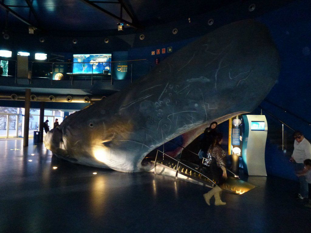 Денис Тарасов | Севастополь