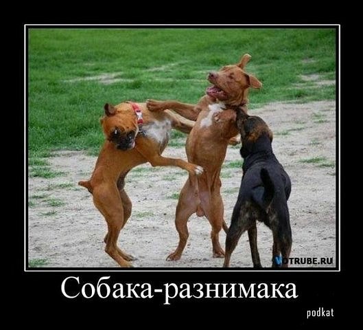 Лера Ратушная | Екатеринбург