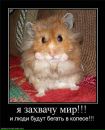 Фотография Александр Калинкин