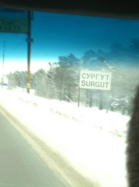 №82, Александр Леер, 42 года, Красногорск №82, Александр Леер, 42 года, Красногорск