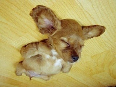 Слава Пак | Ростов-на-Дону