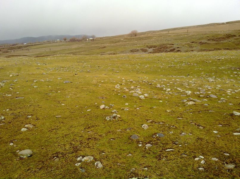 Денис Шмелев Вячеславович | Москва