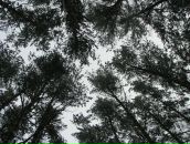 №8 Лау Кэт 23.12.1985: профиль, фото, статус - ВКонтакте