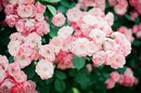 №16 Вера Цират 02.03: профиль, фото, статус - ВКонтакте