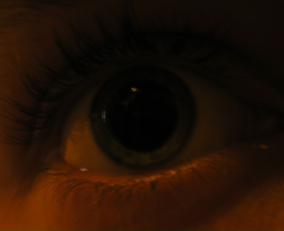 Андрей Шишлонов †LivingDeadBoy† | Каменск-Шахтинский