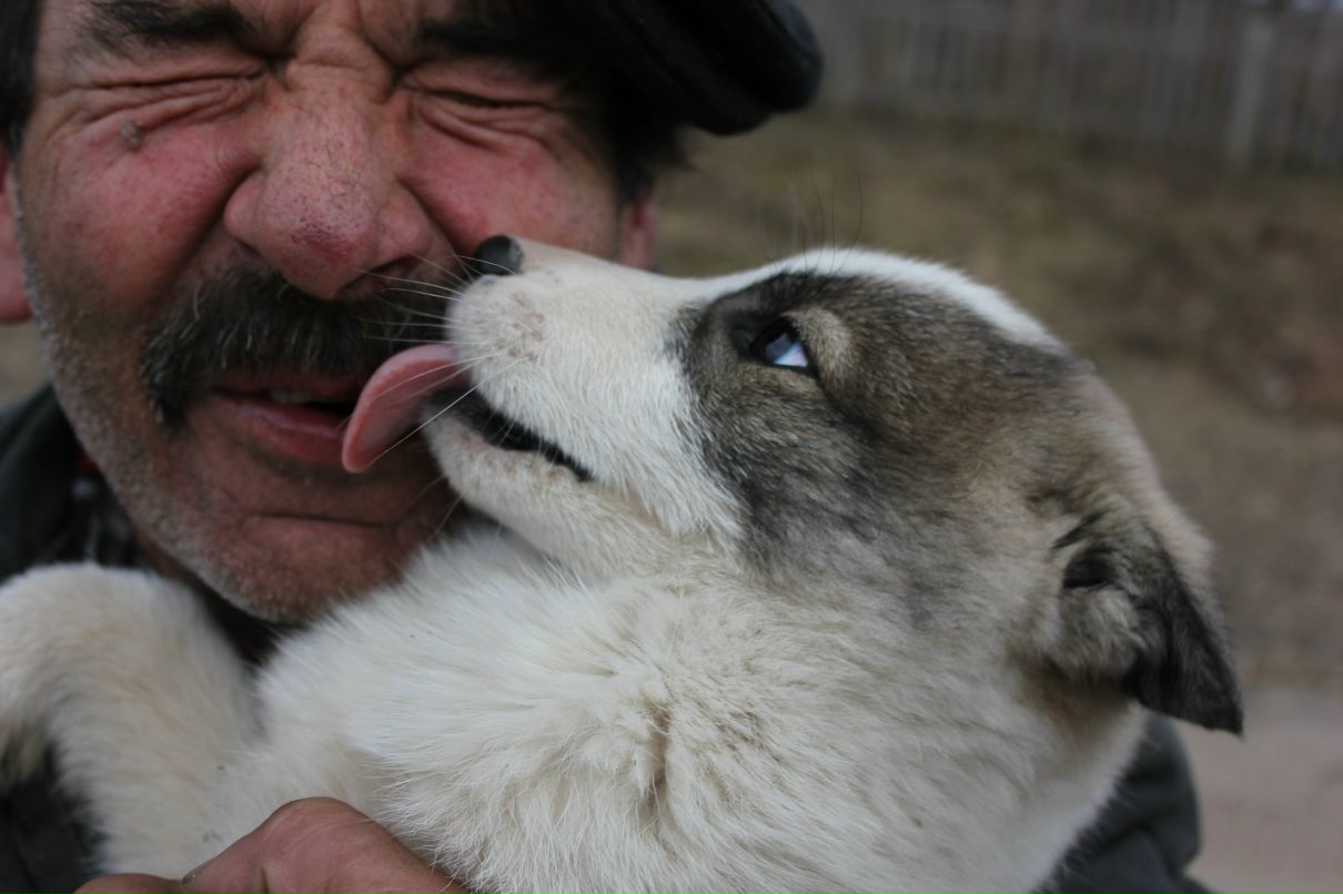 Роман Кобылянский Владимирович | Москва