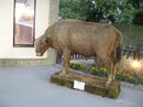 Фотография Комова Сергея