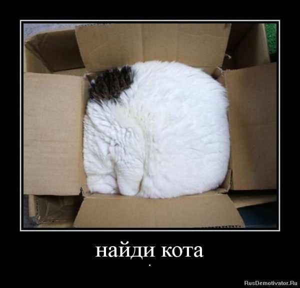 Анна Шустак | 