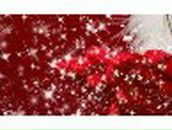 Ирина Курленко | Одесса