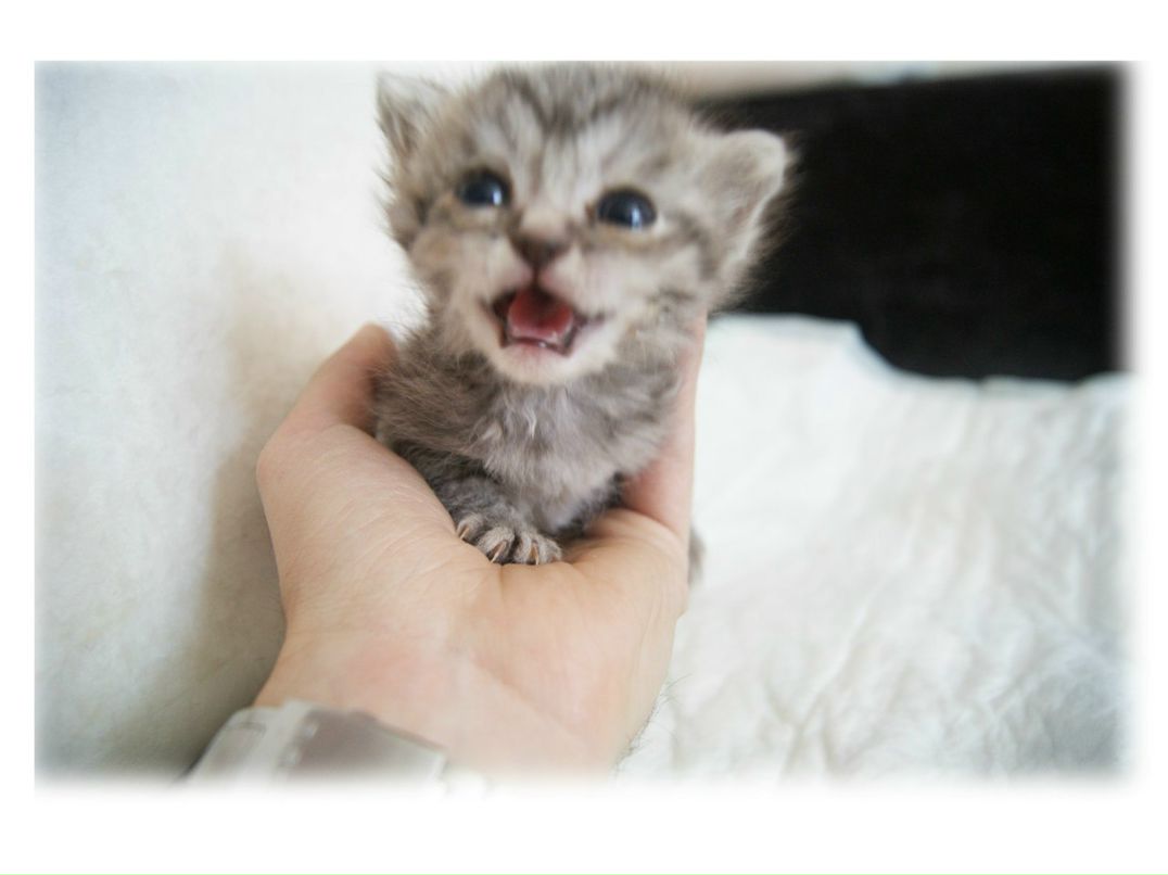 Лёха Паршин un[4]given | Москва