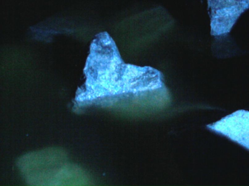 Виктория Бровко | Запорожье