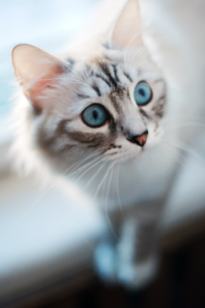 Константин Ганько | Санкт-Петербург