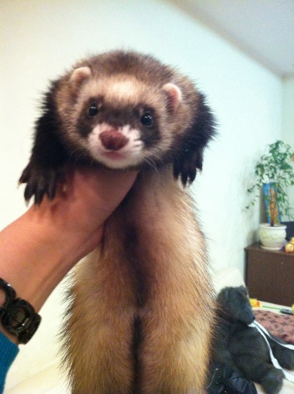 Ромик Киселёв | Москва