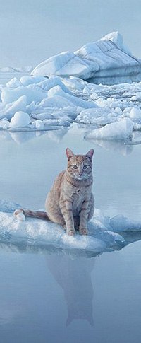 Игорь Котов | Los Angeles