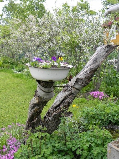 Елена Королева | Санкт-Петербург