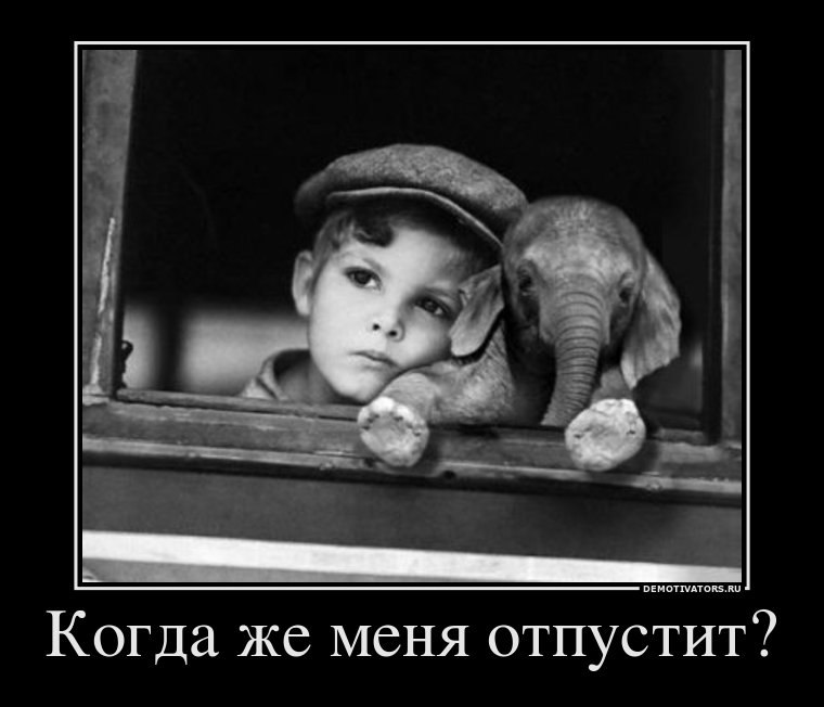 Олександр Лісовський | Киев