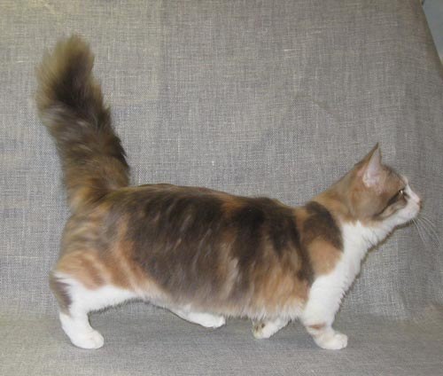 Алексей Александров | Москва