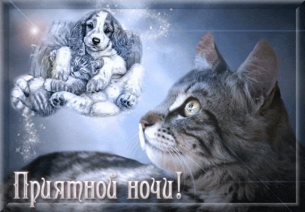 Регина Гутовская 