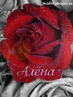 Алёна Сазонова | Пенза