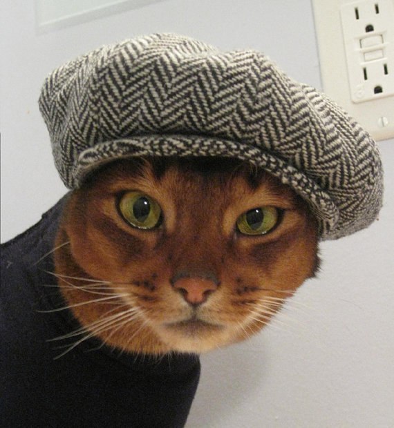 Ksenia Shatalova-Homyak | Санкт-Петербург