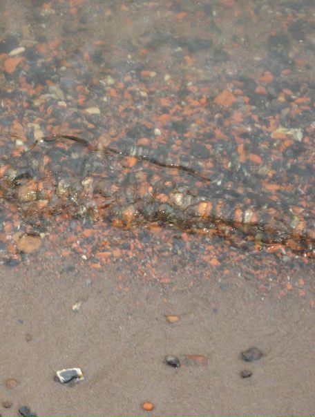 №11, Лена Ыыыыыыы, Санкт-Петербург, Россия №11, Лена Ыыыыыыы, Санкт-Петербург, Россия