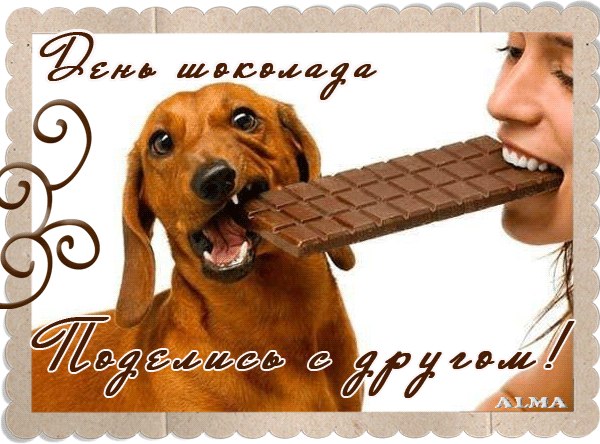 Ирина Сердюк | Санкт-Петербург