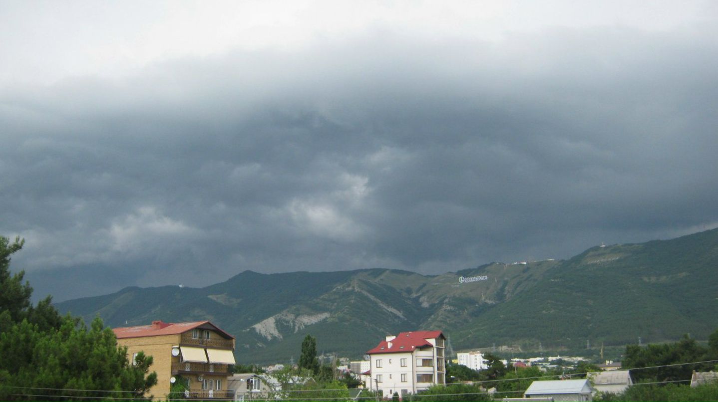 Светлана Ухина | Брянск